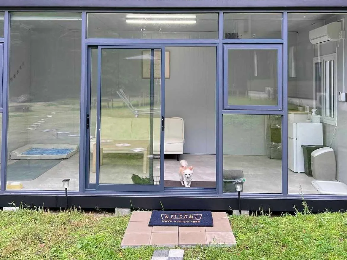 Pet Room